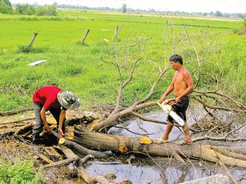 Khu đô thị đại học của Tập đoàn Berjaya