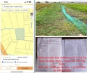 Chính chủ cần bán lô đất Lúa tại xã Hiệp Thạnh, huyện Gò Dầu, Tây Ninh; 1,25 tỷ; 0969589988