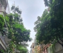 Bán gấp nhà phố Trần Quang Diệu, phân lô, ô tô tránh sống đẳng cấp, kinh doanh văn phòng, 56m, 18.8