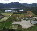 bán đất 1500m2 có nhà cửa giá 250 tr gần hồ lớn Dak lak