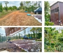 Cần bán một miếng đất vườn trồng full cà phê, Sổ hồng chính chủ tại Đăk Song, Đăk Nông; 1,2 tỷ;