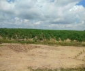 Cần bán lô  đất 1,6 mẫu đất  tại huyện La Pa, tỉnh Gia Lai