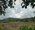 Bán 1,5 héc ta đất rẫy bằng phẳng đất tốt, Diện tích : 14387 m2  tại  xã Đồng Tâm huyện Đồng