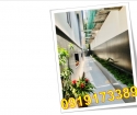 ⭐Cần bán gấp biệt thự đẹp có thang máy mặt đường Trần Khánh Dư,  P.8, TP.Đà Lạt, Lâm Đồng;