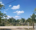 Bán đất thích hợp làm nhà vườn Xuân Lộc,Đồng Nai