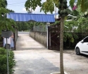 Chính chủ bán lô đất Tại xóm Đồng Đình -Yên Ninh - Phú Lương - Thái Nguyên