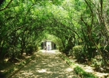 Thiết kế không gian nhà vườn thơ mộng ở Huế