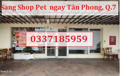 ⭐️Sang Shop Pet ngay Tân Phong, Quận 7, HCM; 0337185959 - Ảnh chính