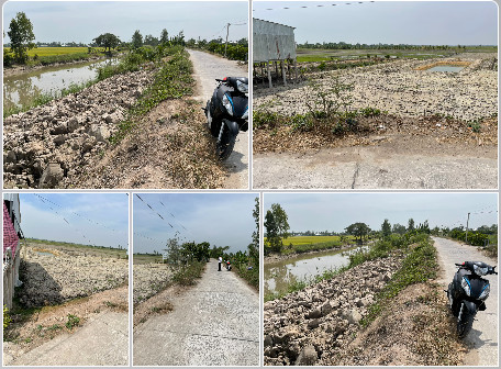 Chính chủ cần bán lô đất  ruộng có thể lên thổ cư được thuộc Xã Phú Thọ - Huyện Tam Nông – Tỉnh - Ảnh 2