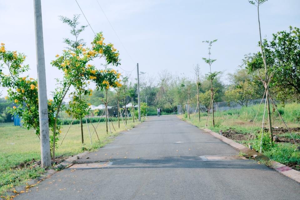 Cắt lỗ lô đất full thổ cư ngay trường tiểu học Sông Thao - Trảng Bom - Đồng Nai, 900tr/lô, Sổ sẵn - Ảnh 1
