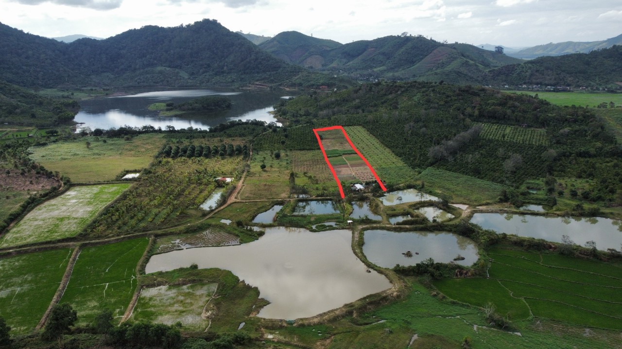 bán đất 1500m2 có nhà cửa giá 250 tr gần hồ lớn Dak lak - Ảnh chính