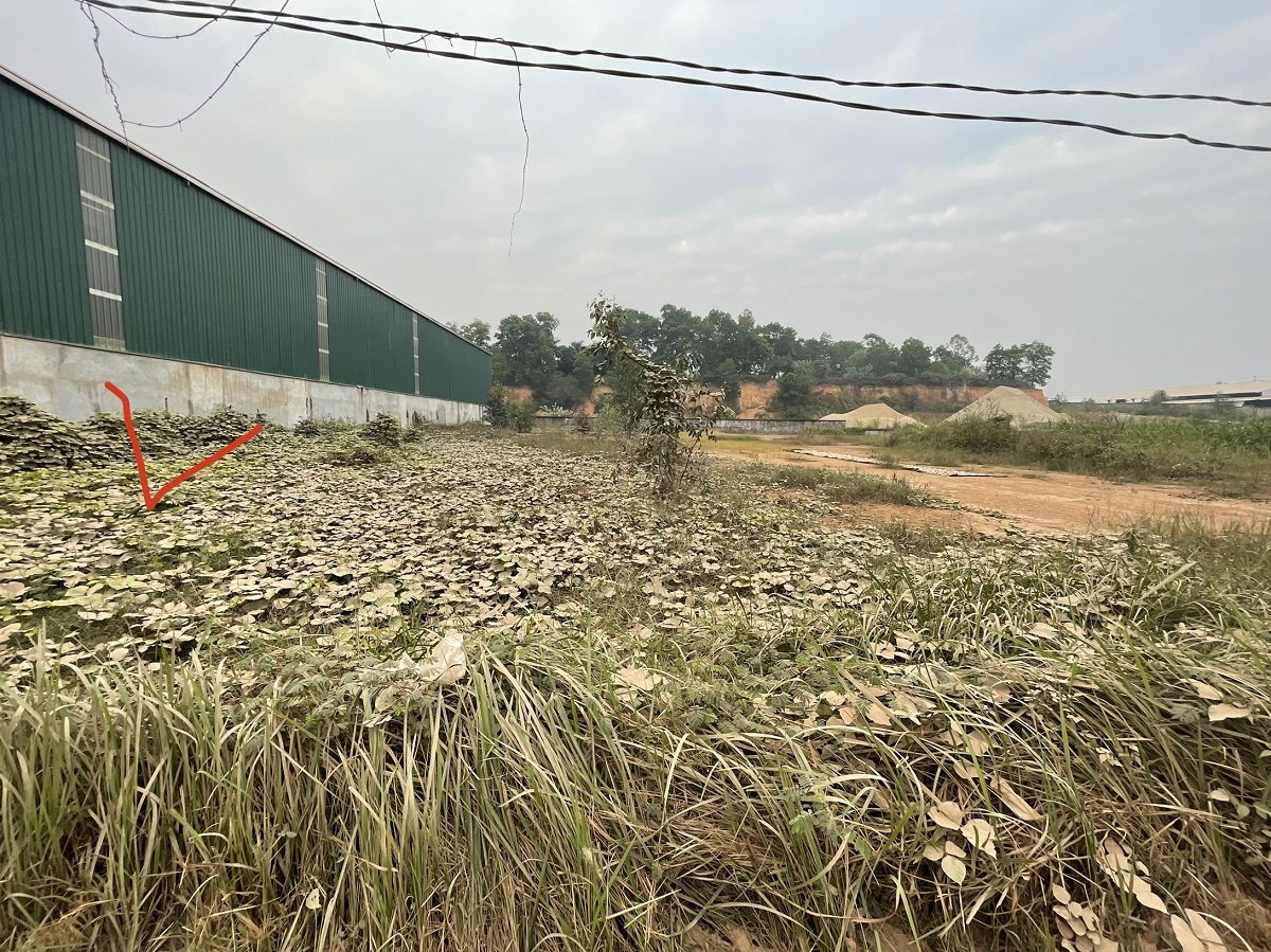 Chính chủ bán mảnh đất tại mặt đường tỉnh lộ 310,  Xã Hướng Đạo, Huyện Tam Dương, Tỉnh Vĩnh Phúc - Ảnh 2