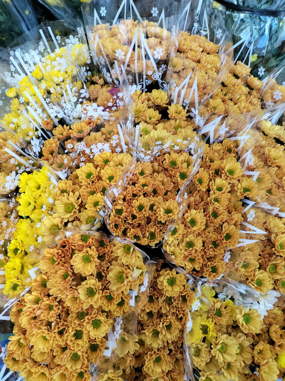 Nhà Vườn SƠN DŨNG Chuyên cung cấp sỉ lẻ hoa tươi Đà Lạt các loại Hoa tươi - Ảnh 1