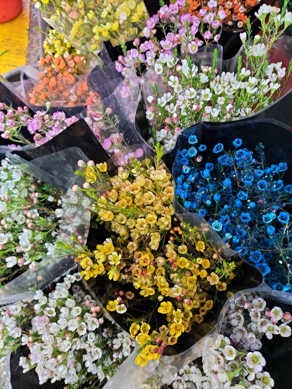 Nhà Vườn SƠN DŨNG Chuyên cung cấp sỉ lẻ hoa tươi Đà Lạt các loại Hoa tươi - Ảnh 3