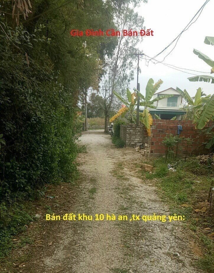 Bán đất 180m2 khu 10 - Hàng xóm Vincom Halongxanh giá đầu tư. Lh:0909711000 - Ảnh chính
