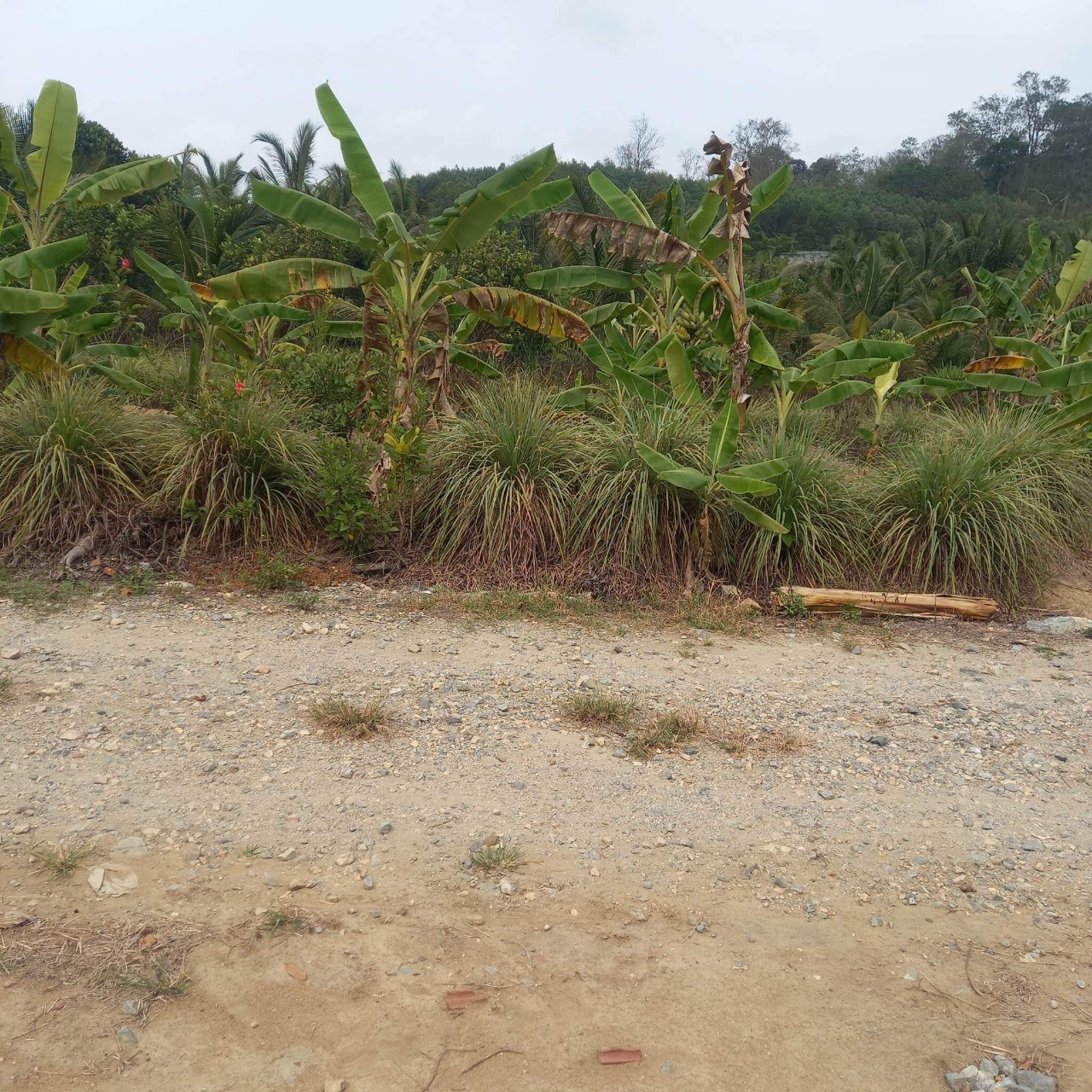 Bán lô đất 1.7ha có 400m Thổ cư tại Xã Ea Sô, Huyện Ea Kar, Đắk Lắk - Ảnh 4