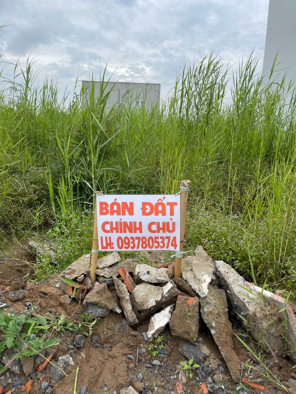 Chính chủ cần bán lô đất tại xã Tân Lân, huyện Cần Đước, tỉnh Long An - Ảnh 4