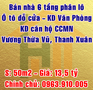 Bán nhà lô góc phân lô, ô tô đỗ cửa, kinh doanh văn phòng Vương Thừa Vũ, Thanh Xuân 50m2 giá 13.5tỷ - Ảnh 7