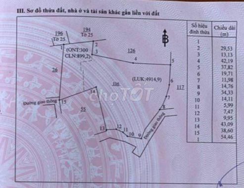 CHÍNH CHỦ CẦN BÁN ĐẤT THỔ CƯ ĐƯỜNG XUÂN THÀNH -SUỐI CAO, XÃ SUỐI CAO - Ảnh 4