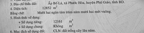 CẦN BÁN ĐẤT TẠI PHƯỚC HÒA-BÌNH DƯƠNG - Ảnh 1