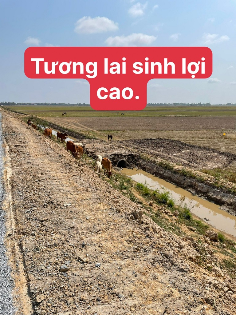 Bán đất ruộng đường nhựa, mặt lộ 5m + vỉa hè 2m Lộ 30 cũ, xã Bình Phú, Tân Hồng, Đồng Tháp - Ảnh 2