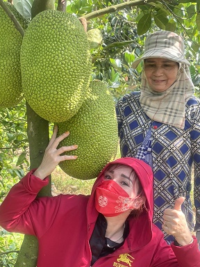 Chính chủ bán đất vườn thích hợp làm khu nghỉ dưỡng hoặc trang trại ở Cao Lãnh - Đồng Tháp. - Ảnh 1