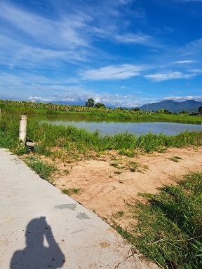 SIÊU PHẨM GIÁ RẺ - 1 SÀO THÔN 2 HÀM LIÊN QUY HOẠCH THỔ CƯ - TỈNH BÌNH THUẬN - Ảnh 4