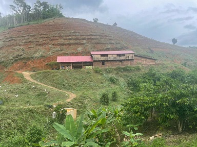 Sở Hữu Ngay Lô Đất 2,3Ha Đất Thôn Bờ Nơm, Xã Sơn Điên, Di Linh, Lâm Đồng - Ảnh chính