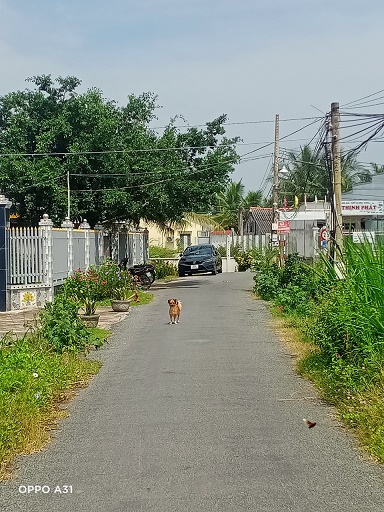 CẦN BÁN LÔ ĐẤT TẠI ẤP THỌ KHƯƠNG-XÃ BÌNH PHÚ-HUYỆN GÒ CÔNG TÂY-TỈNH TIỀN GIANG - Ảnh chính