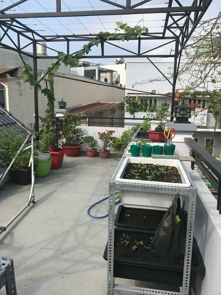 Giá sốc cuối năm! Bán nhà Nguyên Hồng, Bình Thạnh, HCM - Ảnh 2