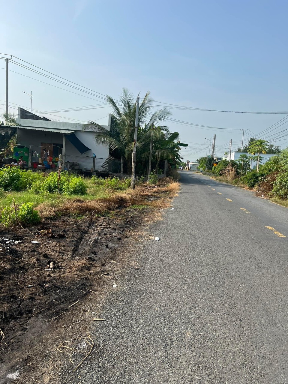 CẦN BÁN ĐẤT Ở GÒ XOÀI TÂN TRUNG GÒ CÔNG TIỀN GIANG - Ảnh chính