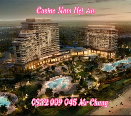 CẦN CHUYỂN NHƯỢNG : 2000 m2 . LÔ GÓC 3MT , Trực diện Biển. Mở cửa là biển cả. - Ảnh 2