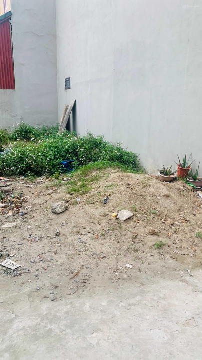 Chính chủ cần Bán mảnh đất 38m2 thôn Thạch Bích, Bích Hoà, huyện Thanh Oai, ô tô đỗ gần, - Ảnh chính