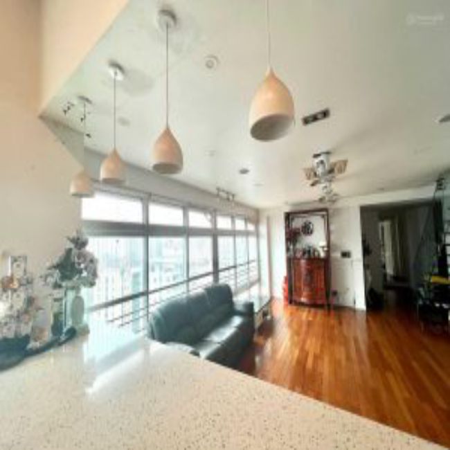Chính chủ bán căn PENHOUSE DUPLEX 300m2 Cienco 1 Hoàng Đạo Thúy Thanh Xuân - Ảnh 3