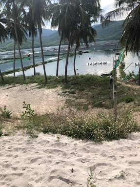 Bán lô Đất full 186m2 thổ view hồ tại xã Xuân Hải, Sông Cầu, Phú Yên - Ảnh 2