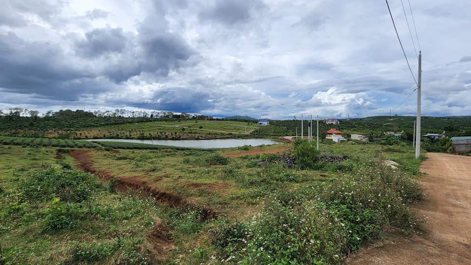 Bán Đất Đẹp - Vị Trí Đắc Địa Tại TT Di Linh, Huyện Di Linh, Lâm Đồng - Ảnh chính