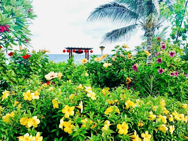 OCEANAMI VILLAS & BEACH CLUB - Resort đẹp nhất khu vực Long Hải - Ảnh 1