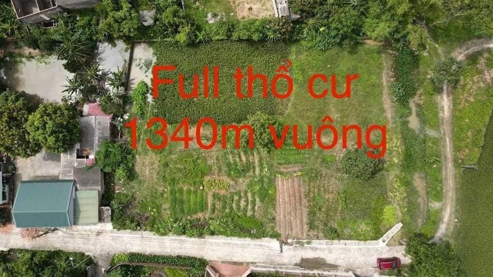 Bán lô đất giá rẻ cho nhà đầu tư tại Lê Xá Dương Quang, Mỹ hào diện tích hơn 1340m2 full thổ cư - Ảnh 2