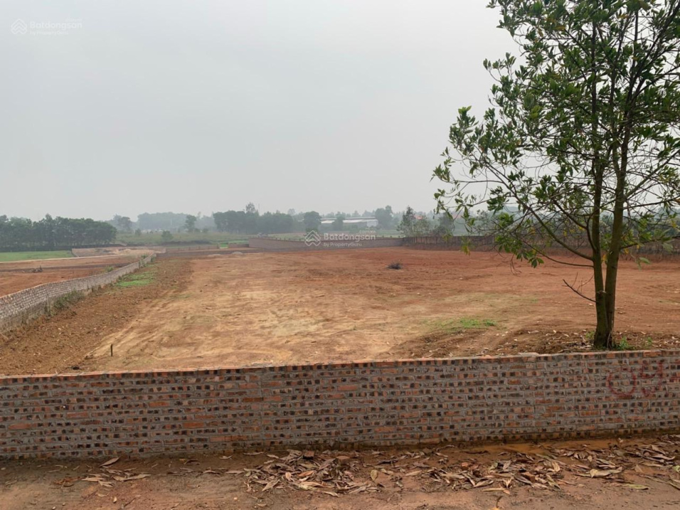 Bán 3.000 m2 đất cạnh sân Golf, khu công nghiệp sạch xã Minh Trí, Sóc Sơn, Hà Nội - Ảnh 2