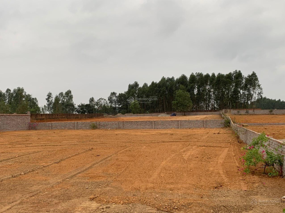 Bán 3.000 m2 đất cạnh sân Golf, khu công nghiệp sạch xã Minh Trí, Sóc Sơn, Hà Nội - Ảnh 1