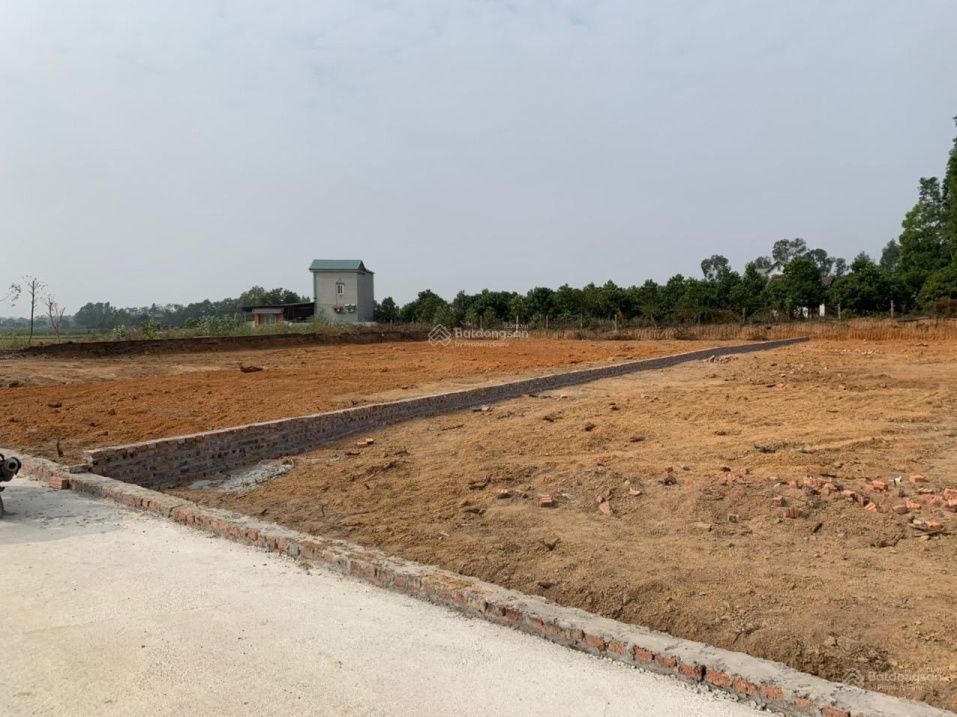 Bán 3.000 m2 đất cạnh sân Golf, khu công nghiệp sạch xã Minh Trí, Sóc Sơn, Hà Nội - Ảnh chính
