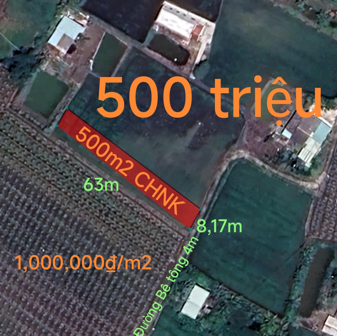 Bán gấp lô đất cây hàng năm khác xã Đức Tân giá 500 triệu( giá rẻ thấp nhất thị trường) - Ảnh chính