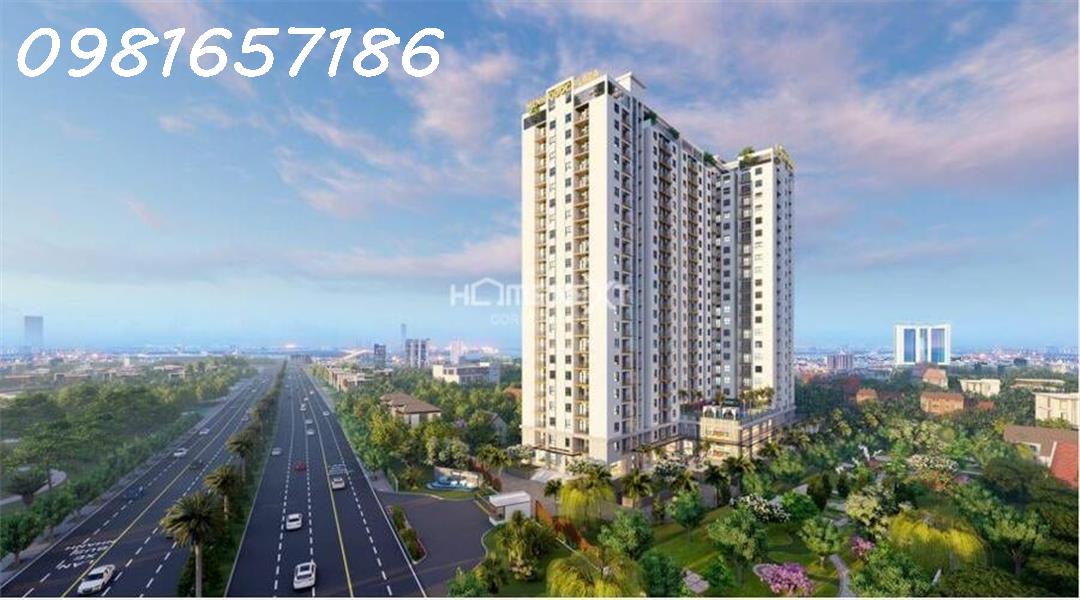 Cho thuê căn hộ dự án Minh Quốc Plaza, 2PN + 2WC - DT 65m2 - Nội thất cơ bản - Ảnh chính