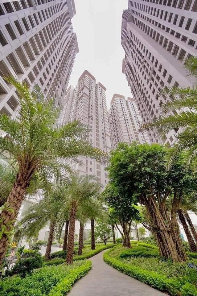 Với mức vốn ban đầu từ 790tr đã có thể sở hữu căn hộ cao cấp từ 62-72m2 theo phong cách singapore - Ảnh chính