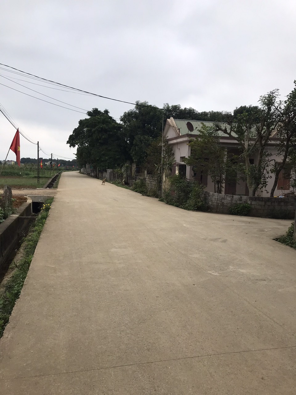 Bán lô đất 290m2 xã Phú Long-Nho Quan,Ninh Bình gần khu du lịch Hồ Đá Lải Sổ đỏ cc - Ảnh 2