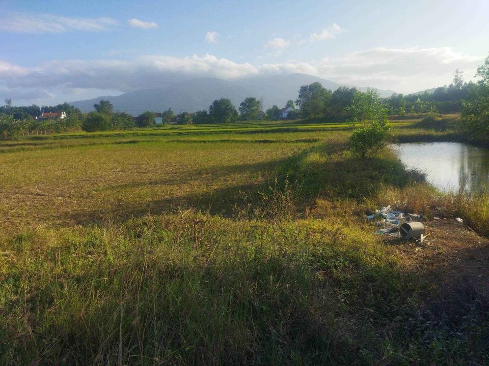 Bán lô đất đẹp 2 mặt tiền 82m tại Xã Ninh Bình, Ninh Hòa, Khánh Hòa - Ảnh chính