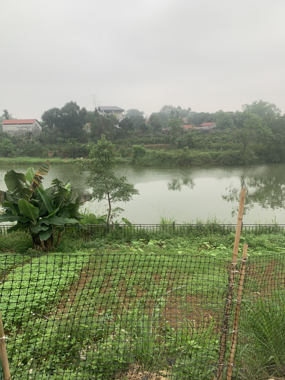 Bán đất view hồ phường Trung Sơn Trầm, Sơn Tây - Ảnh 2