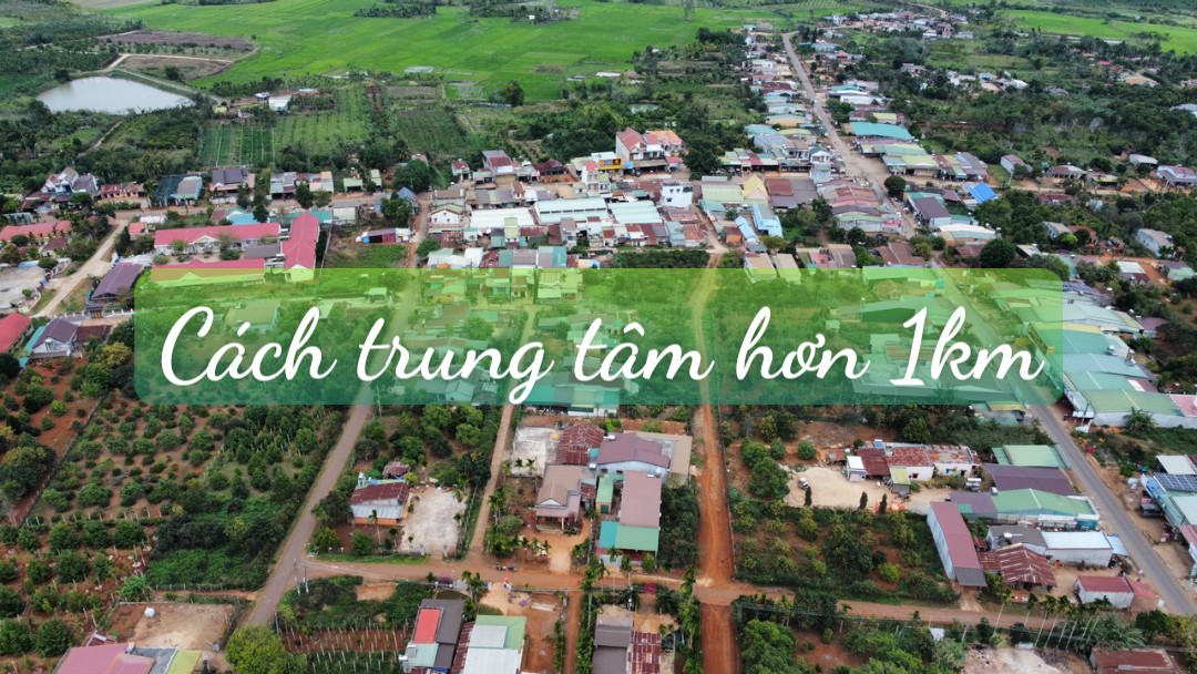 Bán Vườn Vải Thiều Xã Tam Giang - Huyện Krông Năng - Tỉnh DakLak - Ảnh 2