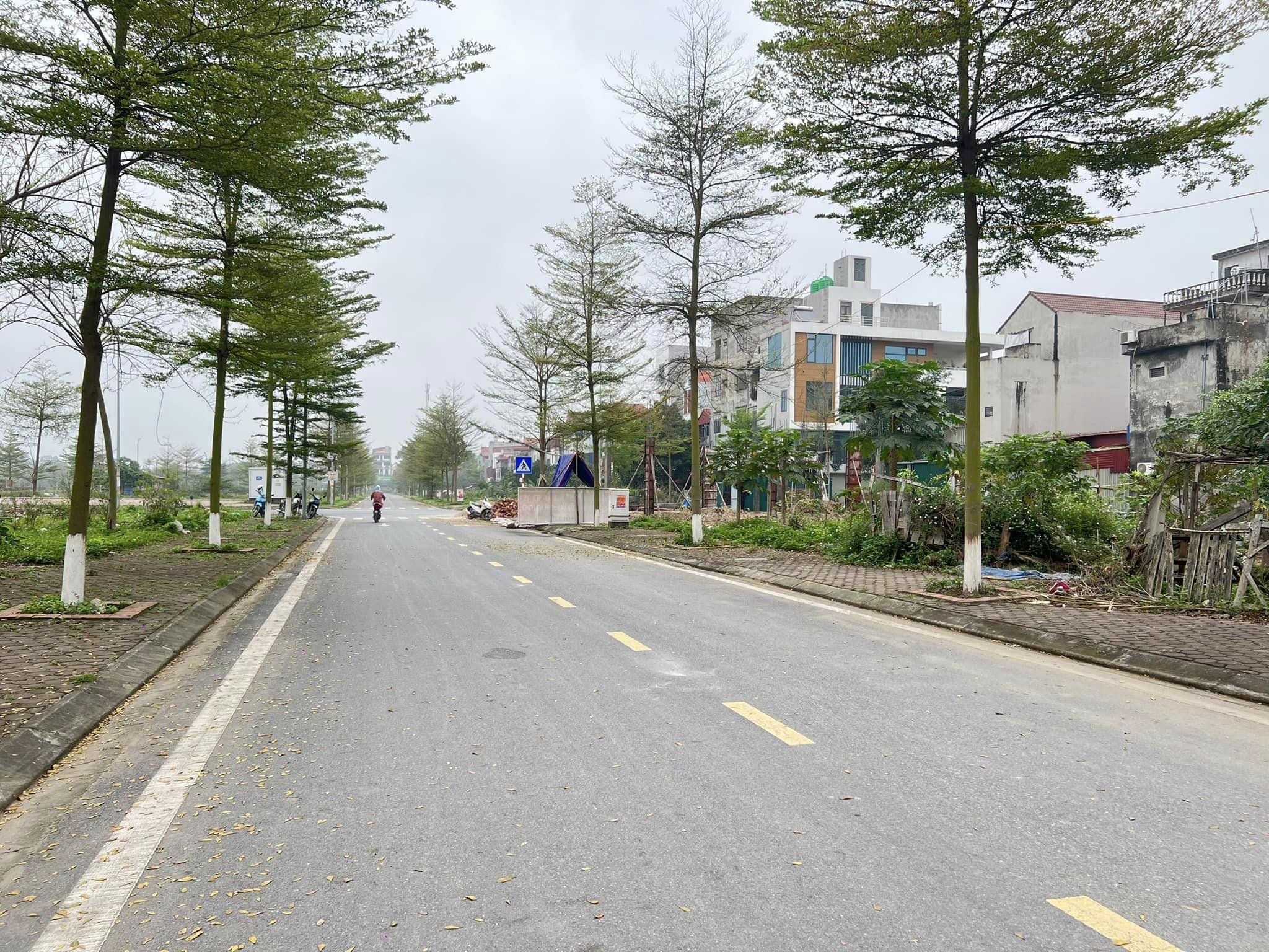 Đất Dabaco Thuận thành ,vew công viên trường học . sổ đỏ thơm phức . giá chỉ từ 3 tỷ . nhanh tay - Ảnh chính