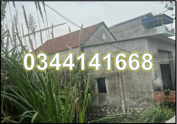 ⭐Chính chủ bán đất tại xóm 4 xã Gia Minh, Thủy Nguyên, Hải Phòng; 2,3 tỷ; 0344141668 - Ảnh 2